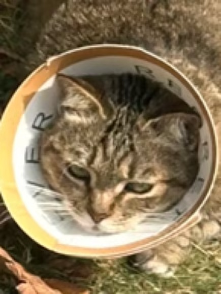 wecom-temp-58407-4af1f9e97df2d7baaa0c79df43ae77f9