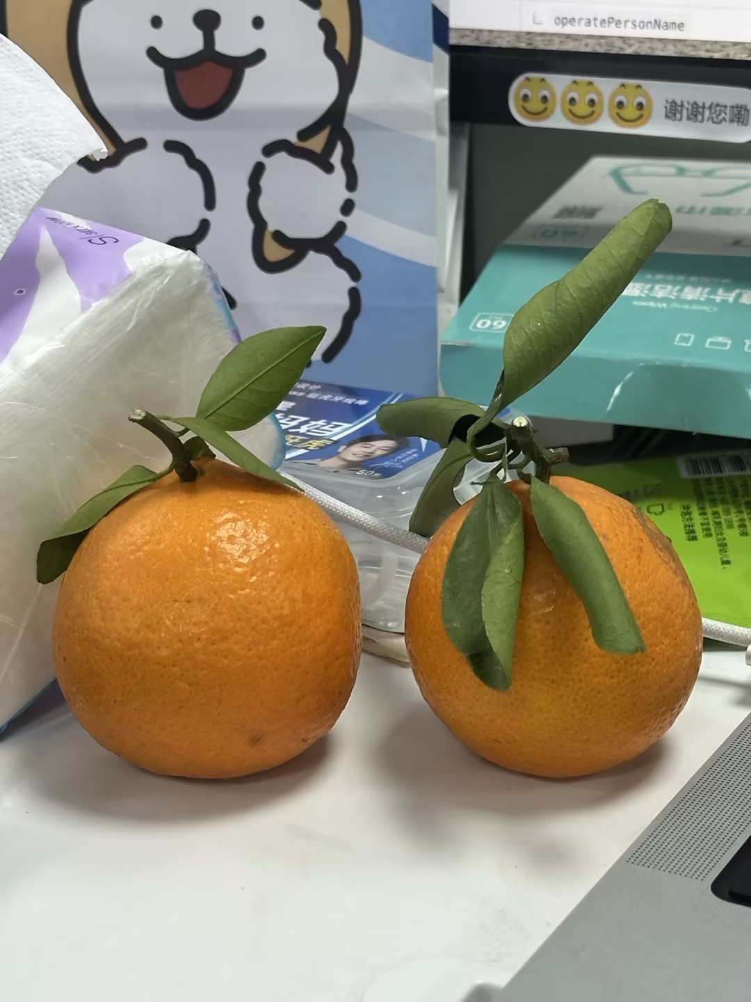 wecom-temp-215723-204855cdde55b4b23c546eac5e9795c0