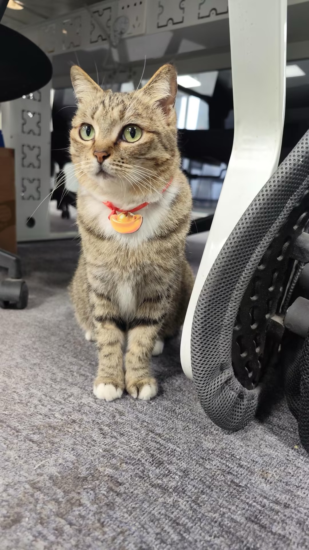 506e1b3f6cc71e5b8b5ad41747949d50_compress