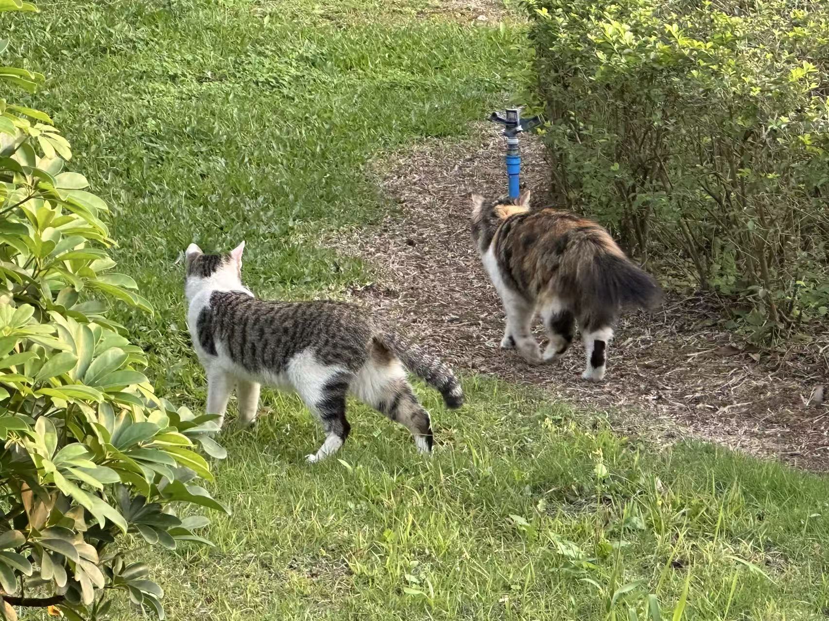 d39ef733afaa6d88ae31a60abf3db1f5